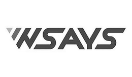 WSAYS trademark