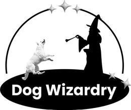 DOG WIZARDRY trademark