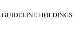 GUIDELINE HOLDINGS trademark