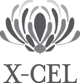 X-CEL trademark