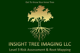GET TO KNOW YOUR INNER TREE INSIGHT TREE IMAGING LLC LEVEL 3 RISK ASSESSMENT & ROOT MAPPING trademark