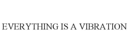 EVERYTHING IS A VIBRATION trademark
