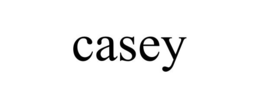 CASEY trademark