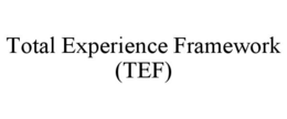 TOTAL EXPERIENCE FRAMEWORK (TEF) trademark