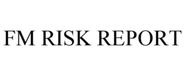 FM RISK REPORT trademark