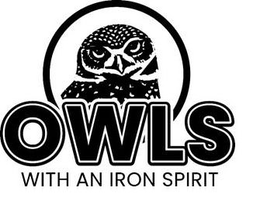 OWLS WITH AN IRON SPIRIT trademark