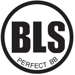 BLS PERFECT BB trademark