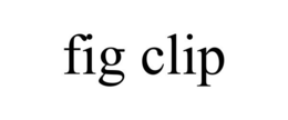 FIG CLIP trademark