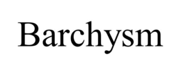 BARCHYSM trademark