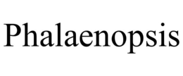 PHALAENOPSIS trademark