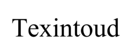 TEXINTOUD trademark