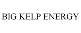 BIG KELP ENERGY trademark