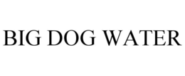BIG DOG WATER trademark