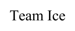 TEAM ICE trademark