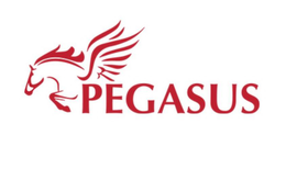 PEGASUS trademark