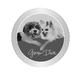 GROOM DIVA trademark