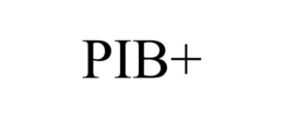 PIB+ trademark