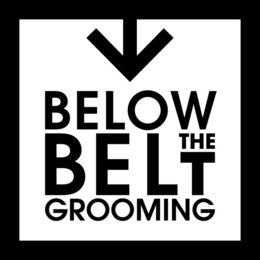 BELOW THE BELT GROOMING trademark