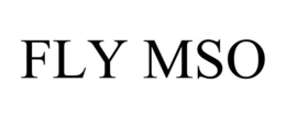 FLY MSO trademark