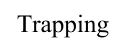 TRAPPING trademark