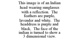 THIS IMAGE IS OF AN INDIAN HEAD WEARING SUNGLASSES WITH A REFLECTION. THE FEATHERS ARE PURPLE, LAVENDER AND WHITE. THE HEADDRESS IS PURPLE AND BLACK. THE FACE OF THE INDIAN IS TURNED TO SHOW A 3 DIMENSIONAL VIEW. trademark