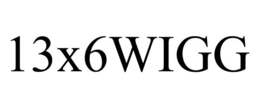 13X6WIGG trademark