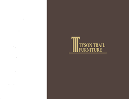 TYSON TRAIL FURNITURE trademark