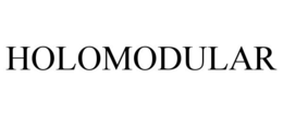 HOLOMODULAR trademark