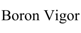 BORON VIGOR trademark