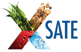 XSATE trademark