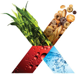 X trademark