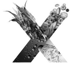 X trademark