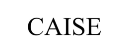 CAISE trademark