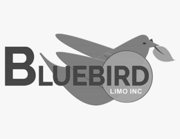 BLUEBIRD LIMO INC trademark
