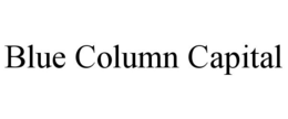 BLUE COLUMN CAPITAL trademark