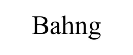 BAHNG trademark