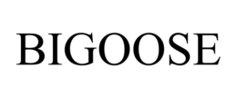 BIGOOSE trademark