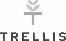 T TRELLIS trademark