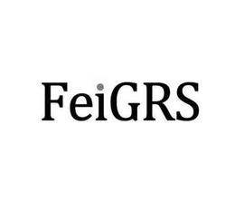 FEIGRS trademark