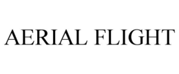 AERIAL FLIGHT trademark