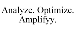 ANALYZE. OPTIMIZE. AMPLIFYY. trademark