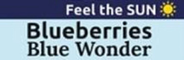 FEEL THE SUN BLUEBERRIES BLUE WONDER trademark