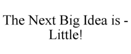 THE NEXT BIG IDEA IS - LITTLE! trademark