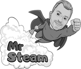 MR STEAM trademark