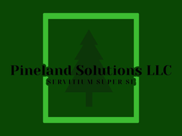 PINELAND SOLUTIONS LLC SERVITIUM SUPER SE trademark