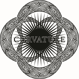 CURVATURE trademark