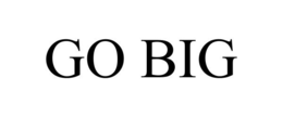 GO BIG trademark