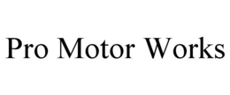 PRO MOTOR WORKS trademark