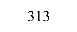 313 trademark