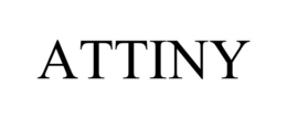 ATTINY trademark